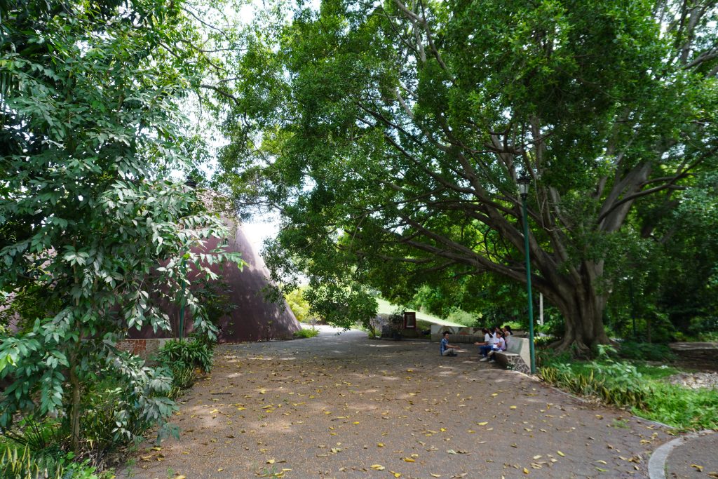 DSC00492